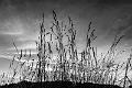 2022_08_ 01(0014)